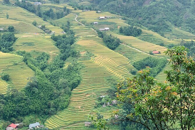 Sapa The Hidden Trail Trek 1 Day - Mountain & Rice Valley - The Walk Itself: Steps, Slopes, Mud, and Walking Poles