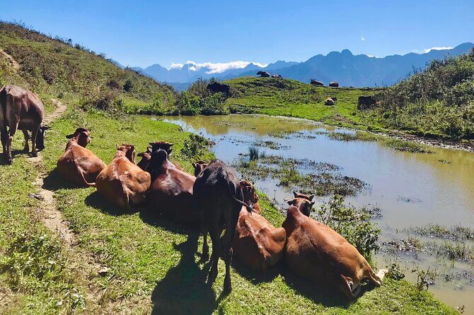 Sapa The Hidden Trail Trek 1 Day - Mountain & Rice Valley - What Lunch Feels Like (And What to Expect If You Want It to Be Local)