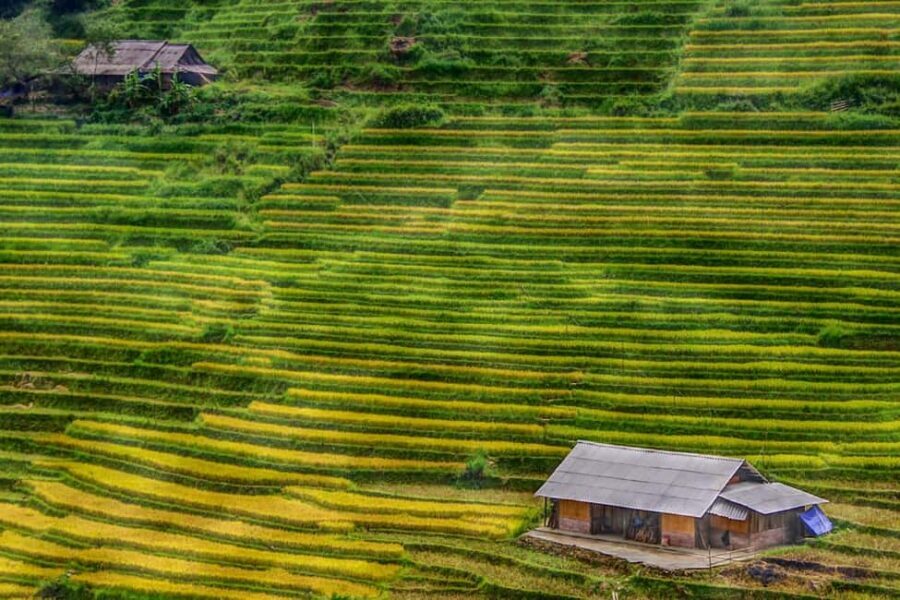 Sapa Trekking Bargains With Local Guide - Sapa Stone Church: your 9 AM start point