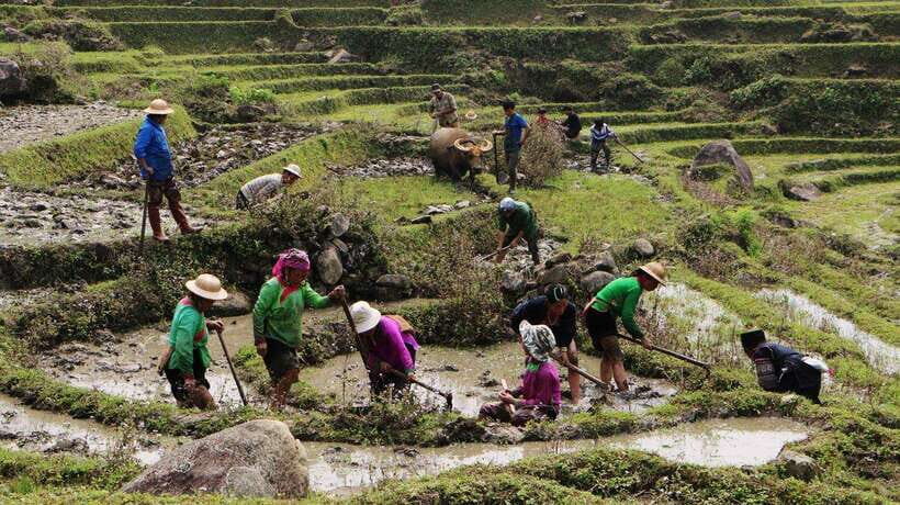 Sapa Trekking Bargains With Local Guide - Lao Chai village lunch: a real break, not a quick stop
