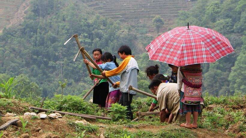 Sapa Trekking Bargains With Local Guide - Walking into Y Linh Ho: photo stops, markets, and daily life