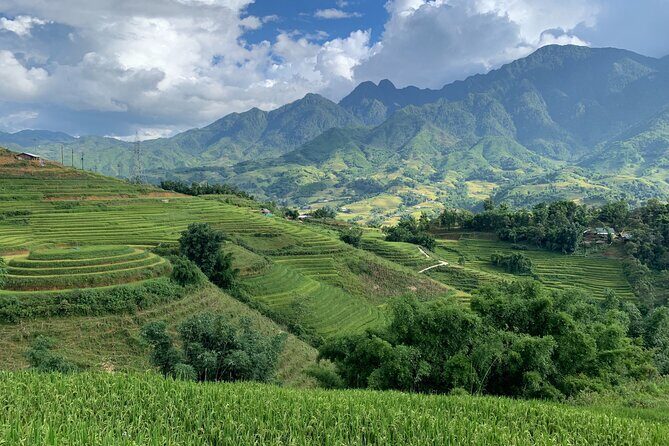 Sapa Trekking Tour 2 Days 1 Night By Bus - Price and Value: Why $85 Can Work (If You Match the Style)