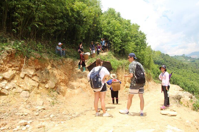 Sapa Trekking Tour Full Day - Y Linh Ho Village: Bamboo-Trail First Impressions