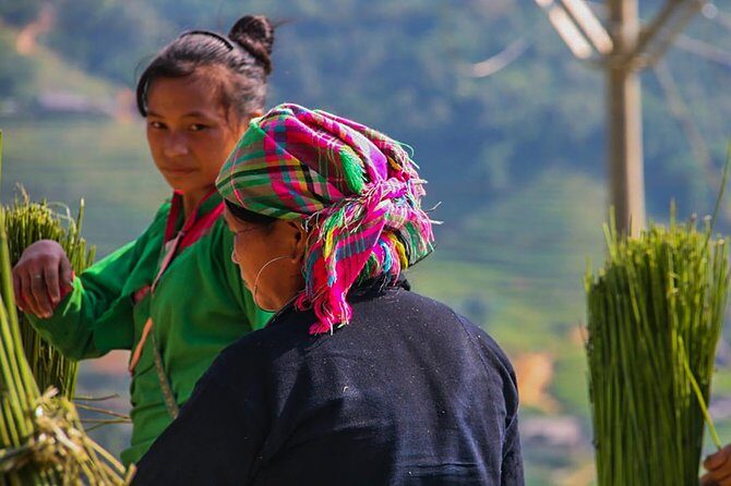 Sapa Valley Trek and Homestay - 3D2N - Day 1: Y Linh Ho into Ta Van’s host-family welcome