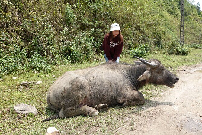 Sapa Valley Trek and Homestay - 3D2N - What you actually learn from the guides