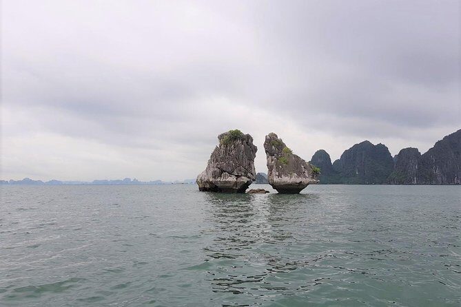 Shore Excursion: Amazing Day Cruise at Ha Long Bay - Lunch on board: free Vietnamese set menu plus the value of being fed