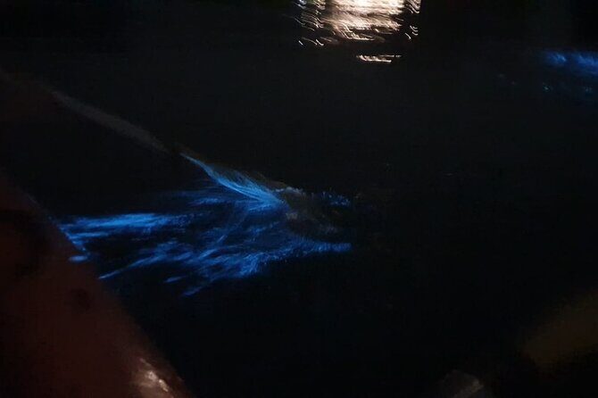 Sunset & Bioluminescent Plankton Kayaking Lan Ha bay - Bioluminescent plankton kayaking in Lan Ha Bay at night