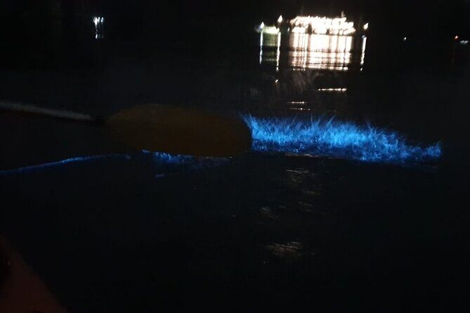 Sunset & Bioluminescent Plankton Kayaking Lan Ha bay - Who should book this sunset and plankton kayak tour?