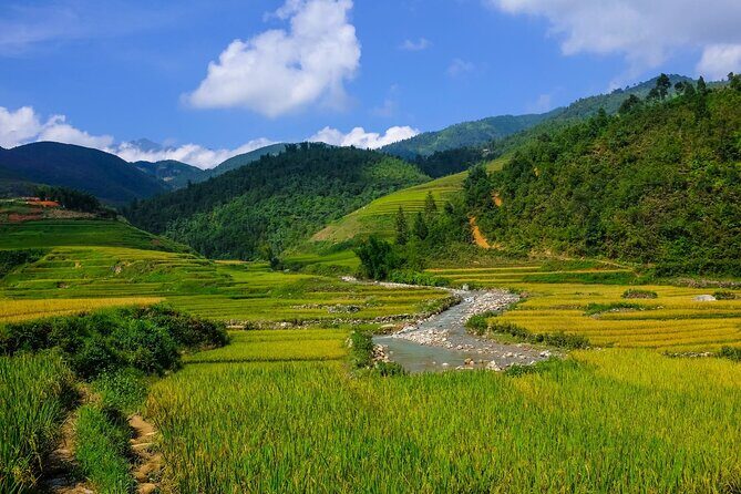 The best view and most authentic tour in Sapa (Non Touristy) - Price and Logistics: What $52 Gets You (and Why It’s Fair)