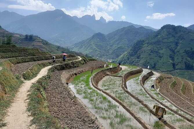 The best view and most authentic tour in Sapa (Non Touristy) - Who Should Book This Tour—and Who Might Prefer Something Else