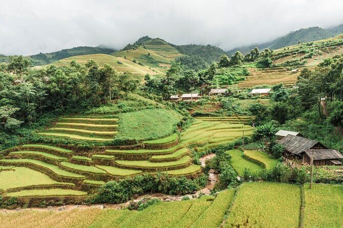 Trekking Through Rice Terraced Fields - 1Day - Rice Terraced Fields and Hill-Tribe Villages in One Half-Day