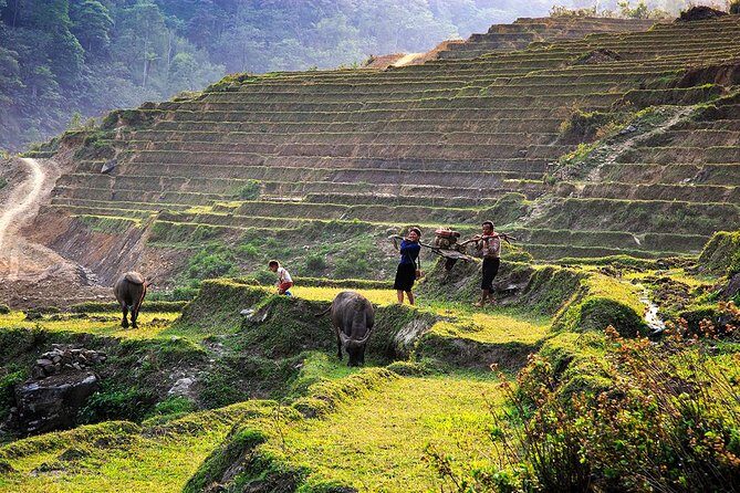 Trekking Through Rice Terraced Fields - 1Day - How Hard Is This Trek Really? (Pace, Distance, and Mud)