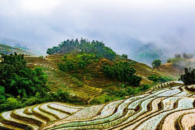 Trekking Through Rice Terraced Fields - 1Day - Lunch in a Local Style and What’s Included for $45