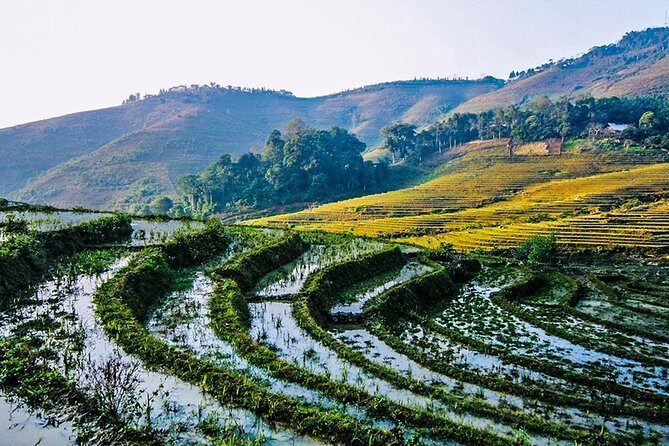 Trekking Through Rice Terraced Fields - 1Day - Guides Matter Here: What You Should Expect From Your Host