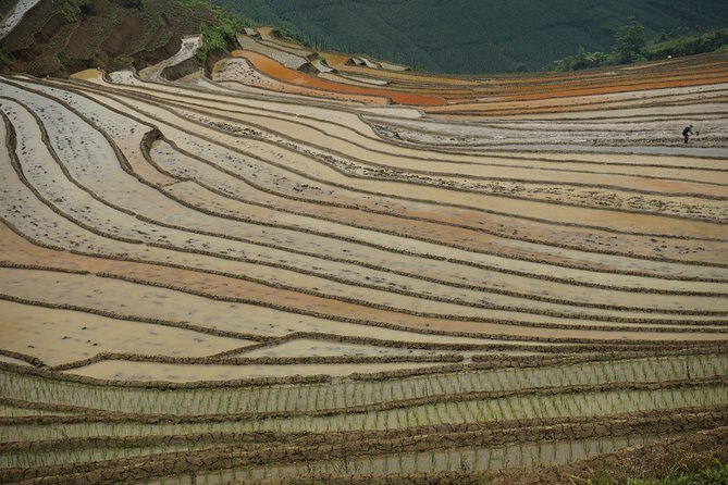 Ultimate Sapa Motorbike Tour: Villages & Waterfalls - Muong Hoa Valley’s stone field: Sapa Ancient Stone Gallery