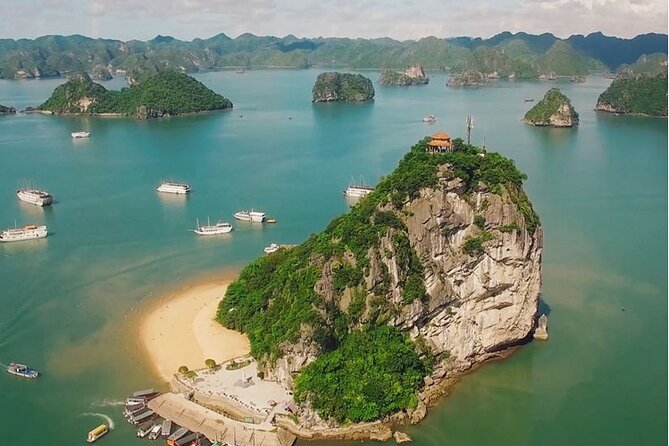 1 Day Tour to Halong Bay Cruise from 3 - 5 star Cruise & Transfer - Seafood Lunch and Vietnamese Food Timing