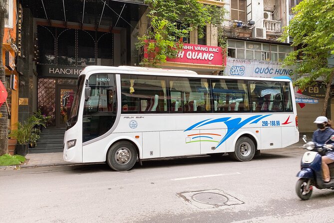 1 Day Tour to Halong Bay Cruise from 3 - 5 star Cruise & Transfer - Tuan Chau Return and Your End-of-Day Wind-Down