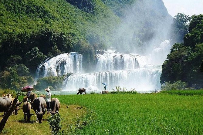 Ban Gioc Waterfall 3 Days 2 Nights From Hanoi - Who this tour fits best (and who should rethink it)