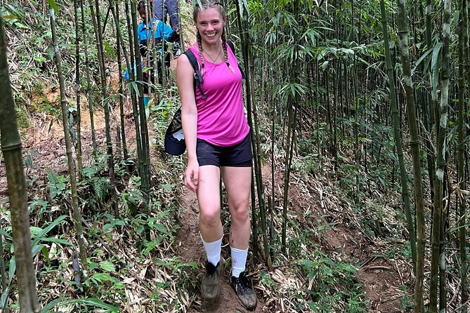 Daily Tour: Sapa Trekking in Muong Hoa valley, Bamboo forest - Price and Value: $29.90 for a Guided Half-Day with Lunch