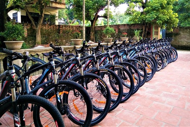 Discover Trang An Natural World Heritage, Bich Dong Pagoda, Cycling Day Tour - Why this Trang An day feels different from a standard sightseeing loop