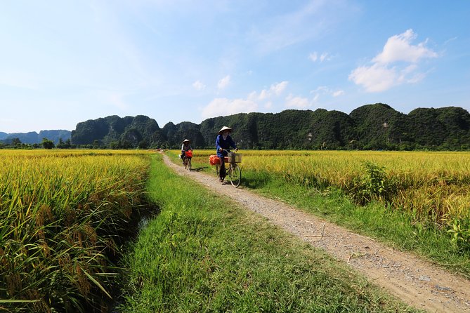 Discover Trang An Natural World Heritage, Bich Dong Pagoda, Cycling Day Tour - The ride back to Hanoi: when the day ends around late afternoon