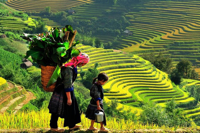 From Hanoi: 2-Day Overnight Sapa Tour by Luxury Van Limousine - Route Choices: When You’ll Visit Cát Cát vs Ý Linh Hồ, Lao Chải, Tả Van