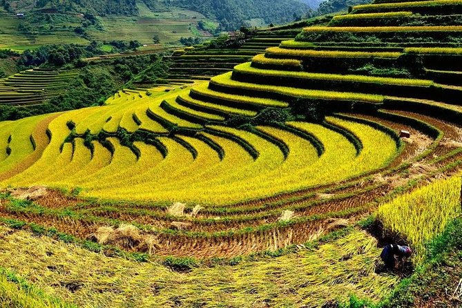 From Hanoi: 2-Day Overnight Sapa Tour by Luxury Van Limousine - Day Two Finish: Giàng Tà Chải and More Rice Terrace Walking