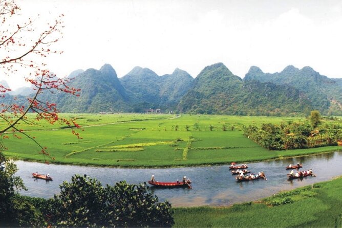 Full Day Tour to Perfume Pagoda with Traditional Boat Ride - Lunch in the Pagoda Area: Fuel for Stairs and Cave Time