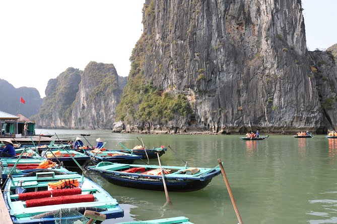 Halong Bay Day Tour Islands, Cave, Kayak. Lunch. All inclusive - Price and value vs other Ha Long day tours