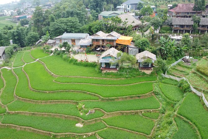 Hanoi - Sapa 3 Day 2 Night Trekking With Hotel & Homestay - Day 2 from Y Linh Ho to Lao Chai and Ta Van: rice terraces plus real walking