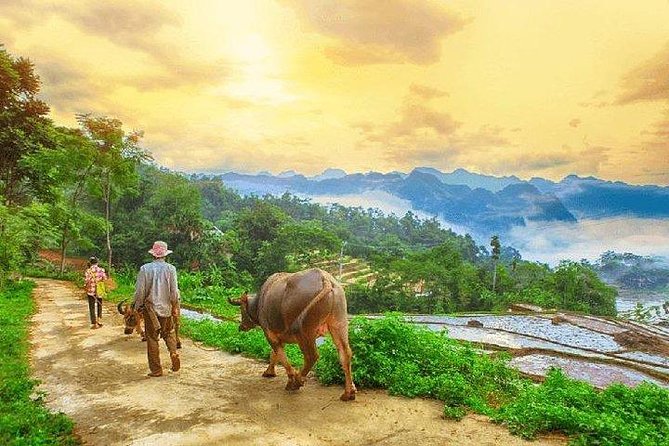 MAI CHAU 1 DAY TOUR | HIDDEN CHARM | SHARED or PRIVATE OPTIONS - Entering Thung Khe Pass: a quick market moment with mountain-road views