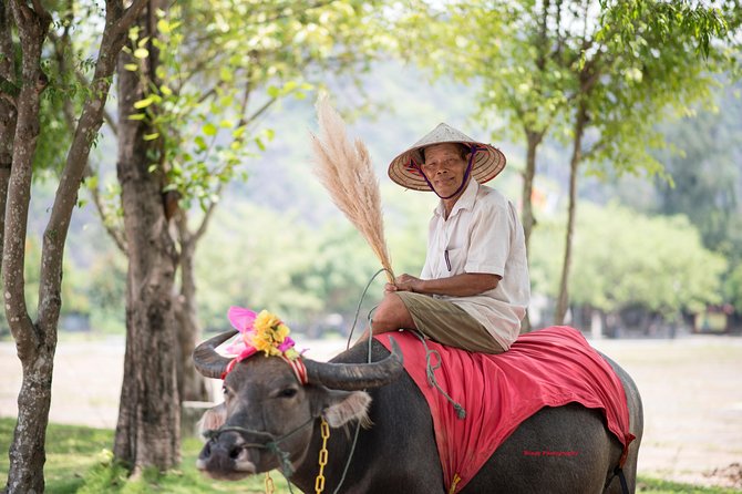 Ninh Binh Daily Tour: Hoa Lu - Tam Coc boat trip and Bike - Who This Tour Suits Best (and Who Might Want Alternatives)