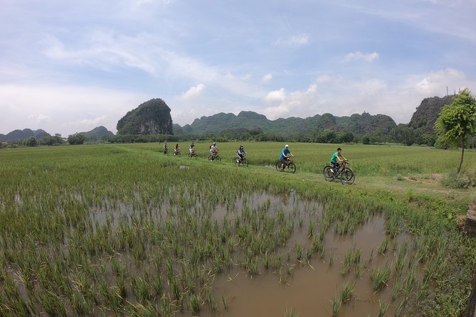 Private luxury - Mua Cave - Trang An - Bich Dong 1 Day From Hanoi - Getting around and cycling choices: car if you want, extras if you need them
